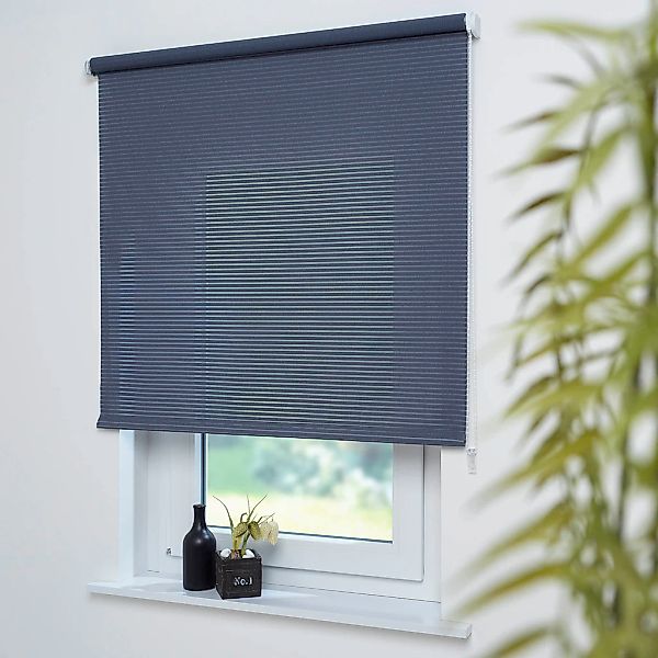 Liedeco Seitenzugrollo "Dekor Streifen" Lichtschutz mit Bohren günstig online kaufen