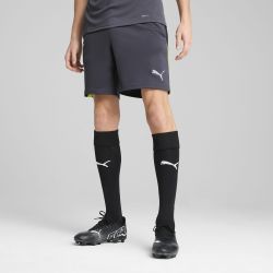 PUMA Sporthose "individualLIGA Trainingsshorts Herren" günstig online kaufen