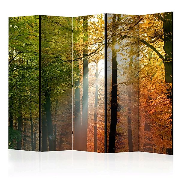 5-teiliges Paravent - Forest Colours Ii [room Dividers] günstig online kaufen