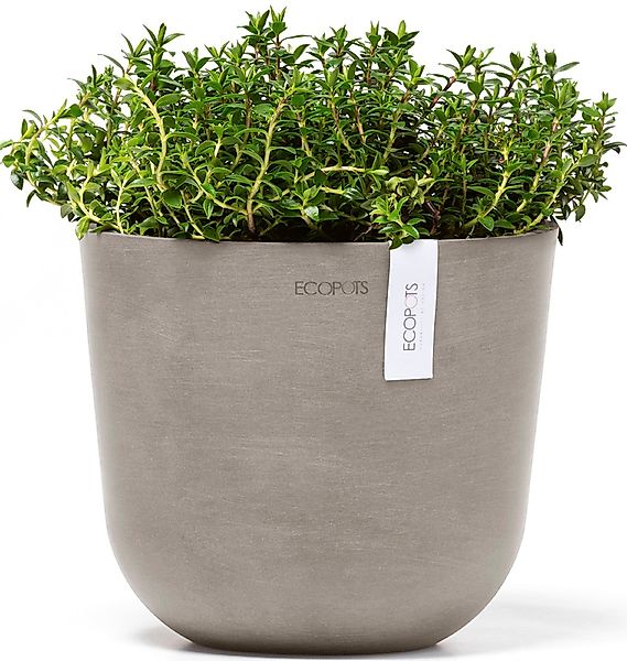ECOPOTS Blumentopf "Oslo 19 Taupe", für den Innenbereich günstig online kaufen