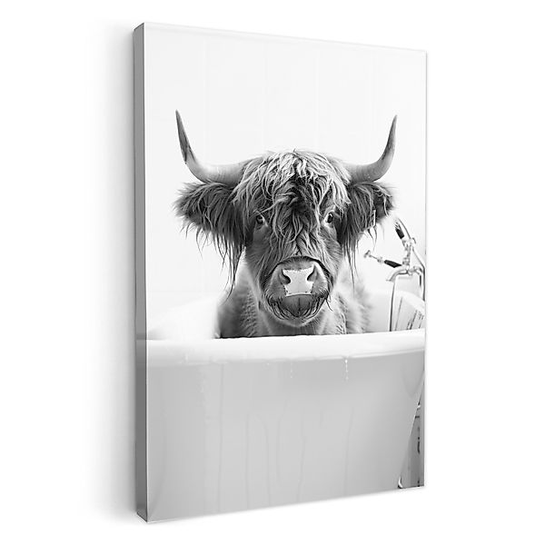 OneMillionCanvasses® Leinwandbild Highlander - Kuh - günstig online kaufen
