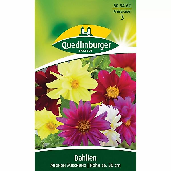 Quedlinburger Dahlie ''Mignon Mischung'' günstig online kaufen