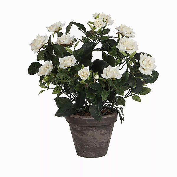 Kunstpflanze Mica künstlicher Rosenstrauch weiß im günstig online kaufen