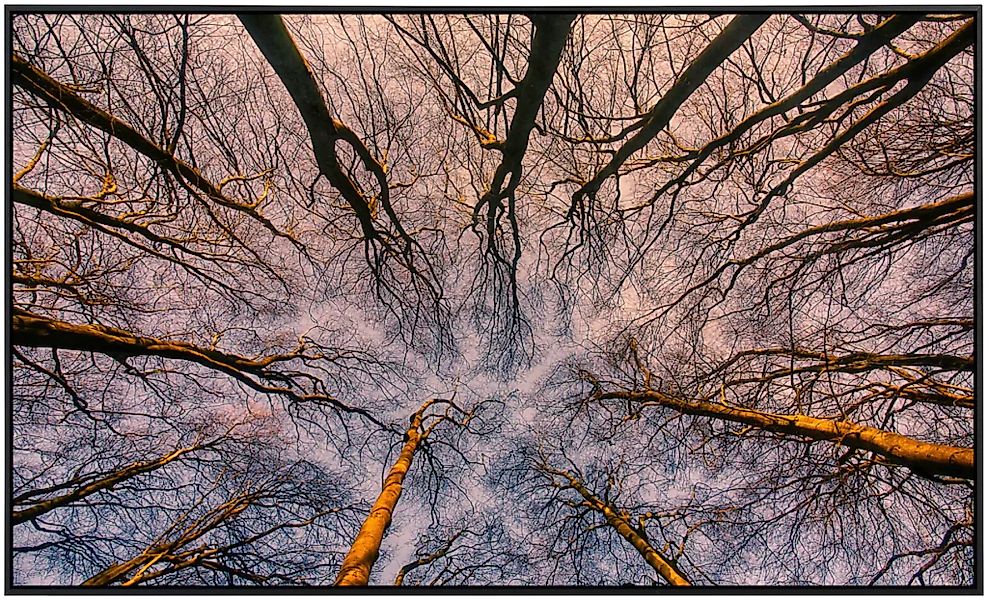 Papermoon Infrarotheizung »Sonnenaufgang durch den Wald.«, sehr angenehme S günstig online kaufen