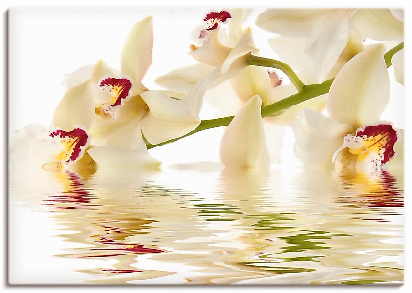 Artland "Weiße Orchidee mit Wasserreflektion" Blumen 1 Stk. tlg. als Leinwa günstig online kaufen