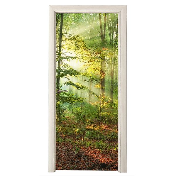 MuchoWow Türtapete Sonne - Wald - günstig online kaufen
