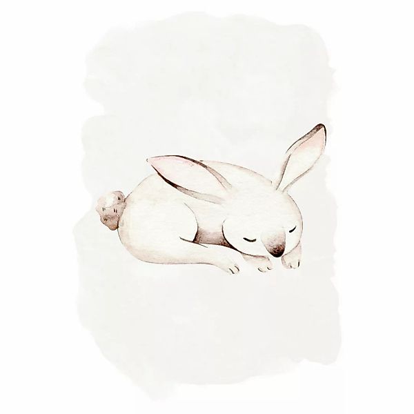 Komar Bild "Sleepy Bunny", Natur, (1 St.), Wandbild zur Dekoration - ohne R günstig online kaufen