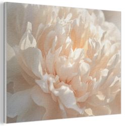 MuchoWow Gemälde Nahaufnahme - Pfingstrose - günstig online kaufen