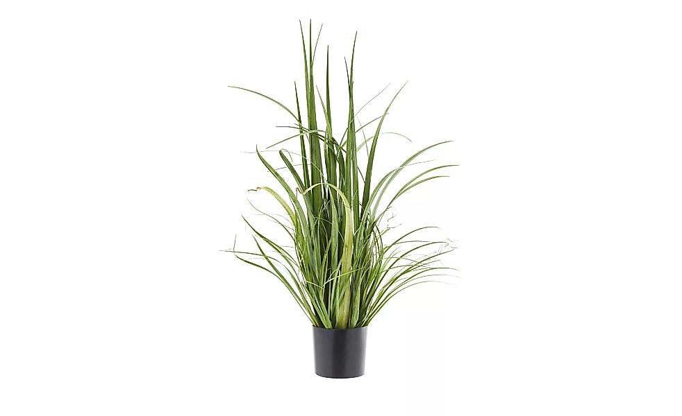 Grasbündel - grün - Kunststoff - 80 cm - Sconto günstig online kaufen
