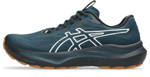 Asics GT-2000 14 TR Laufschuh für günstig online kaufen