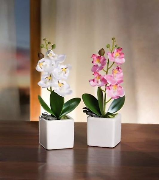 HOME Living Deko-Orchidee SPAR-SET 2x Deko-Orchidee Kunstpflanzen weiß günstig online kaufen