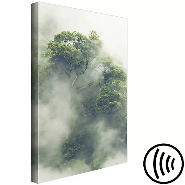 Bild auf Leinwand Foggy Amazon (1 Part) Vertical XXL günstig online kaufen