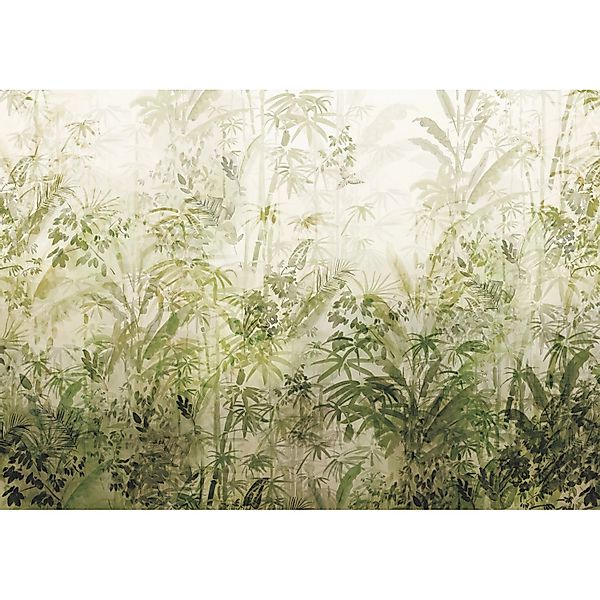 Komar Fototapete Vlies Wilderness  400 x 280 cm günstig online kaufen