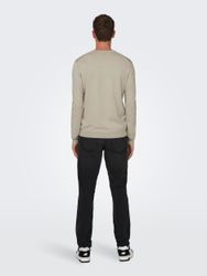ONLY & SONS Rundhalspullover ONSWYLER LIFE günstig online kaufen