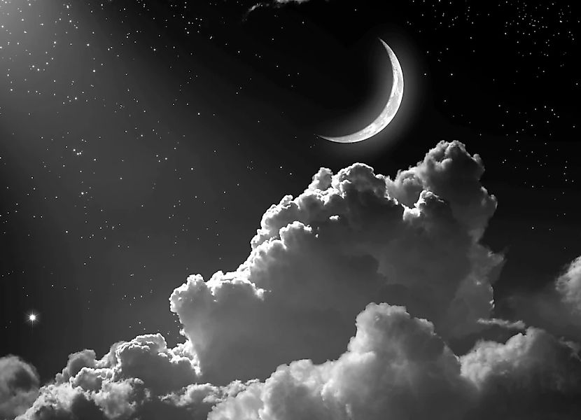 Papermoon Fototapete "Nachthimmel Schwarz & Weiß" günstig online kaufen