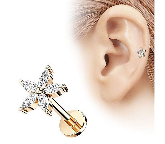 Taffstyle Piercing-Set Tragus Ohr Knorpel Helix Piercing Kristall Blüte, Pi günstig online kaufen
