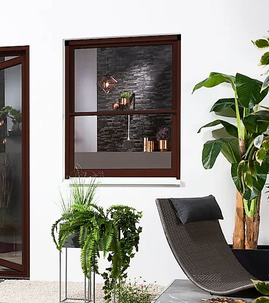 hecht international Insektenschutzrollo »SMART«, transparent, Insektenschut günstig online kaufen
