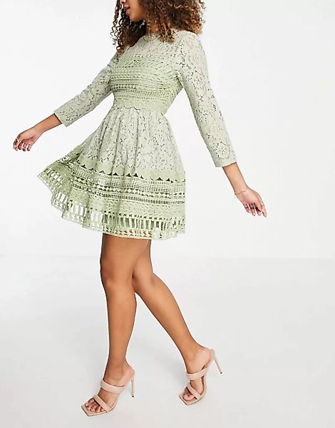 ASOS DESIGN – Premium – Mini-Skater-Kleid aus Spitze in Salbeigrün günstig online kaufen