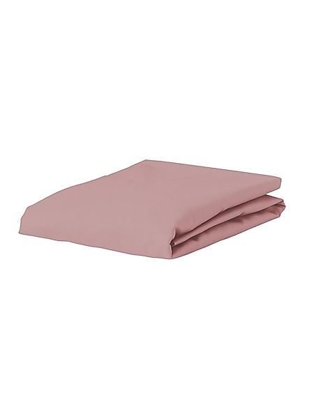 Essenza Spannbettlaken Premium Percale, Perkal, Gummizug: günstig online kaufen