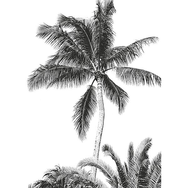 Komar Vliesfototapete Retro Palm 200 cm x 280 cm günstig online kaufen