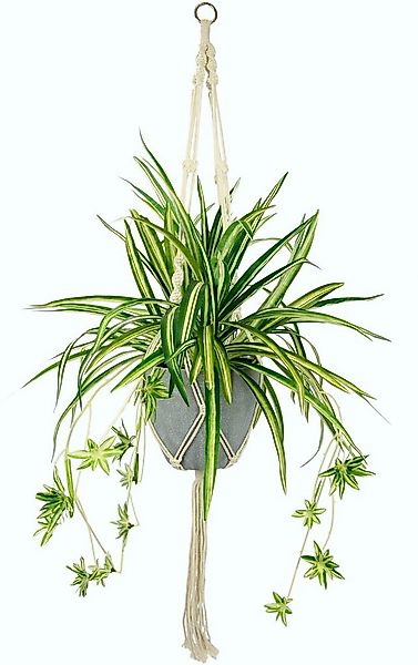 Künstliche Zimmerpflanze Wasserlilie, I.GE.A., Höhe 95 cm, im Kunststofftop günstig online kaufen