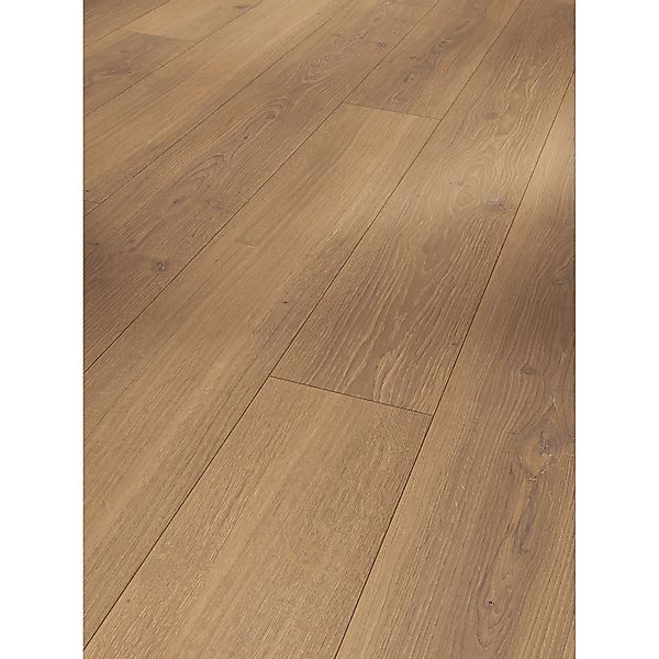 Parador Trendtime 6 Laminat 8 mm Wasserfest Eiche Studioline Honig 220 cm günstig online kaufen