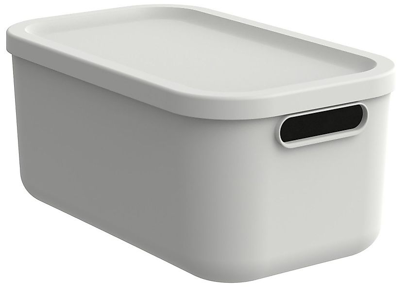 ROTHO Aufbewahrungsbox Rotho Aufbewahrungsbox 12 L günstig online kaufen