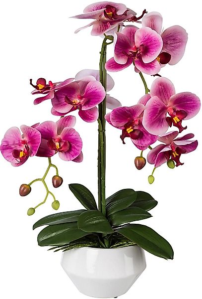 Kunstpflanze Orchidee, Creativ green, Höhe 52 günstig online kaufen
