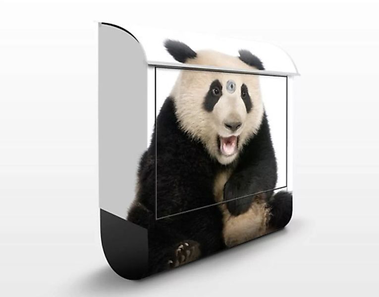 Briefkasten Tiere Lachender Panda günstig online kaufen