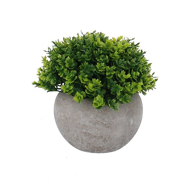 Kunstblume Grünpflanze in Topf - grün/grau - künstlich - ca. 14 x 20 cm, MI günstig online kaufen