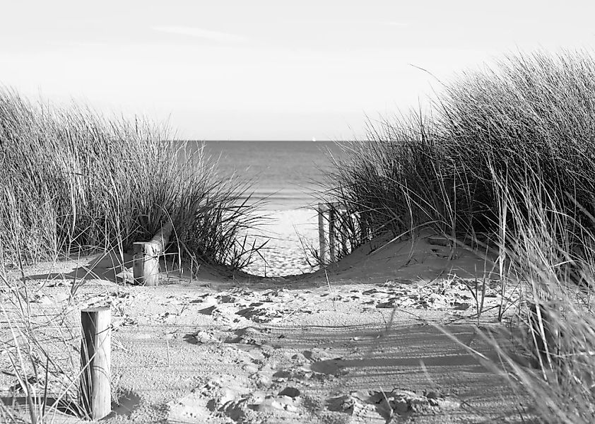 Papermoon Fototapete "Strand Schwarz & Weiß" günstig online kaufen