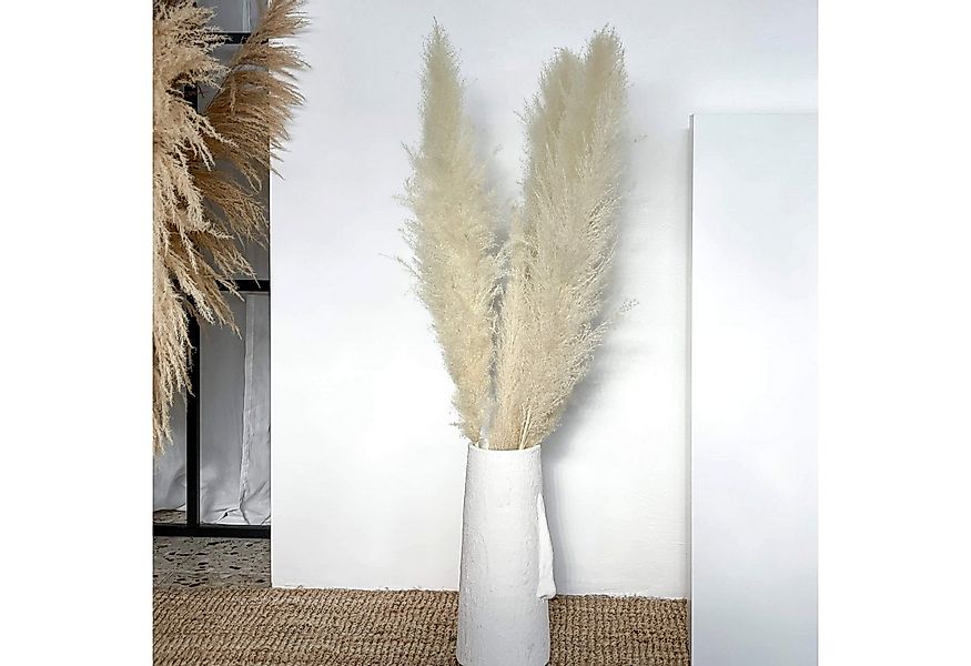 Trockenblume Pampasgras gebleicht Pampasgras, LYKKE & You günstig online kaufen