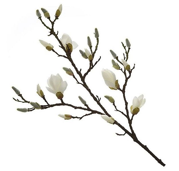Künstliche Zimmerpflanze künstlicher Magnolienzweig (101cm), Fink günstig online kaufen