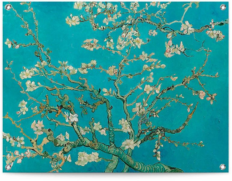 Reinders Poster "Mandelblüte - Vincent van Gogh" günstig online kaufen