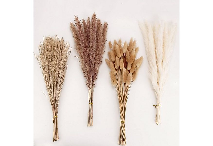 Trockenblume Pampasgras Trockenblumen Deko, 100 Stück Pampasgras Getrocknet günstig online kaufen