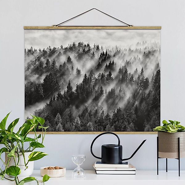 Stoffbild Wald mit Posterleisten - Querformat Lichtstrahlen im Nadelwald günstig online kaufen