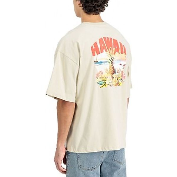 Alpha Industries  T-Shirts & Poloshirts Hawaii Aloha Rckenprint T-Shirt Wei günstig online kaufen
