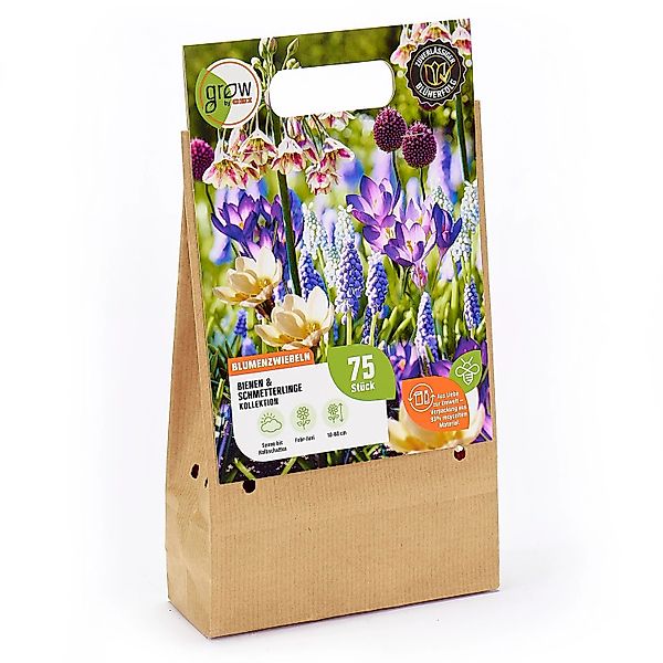 GROW by OBI Bienen- und Schmetterlinge-Kollektion 75 Stück günstig online kaufen