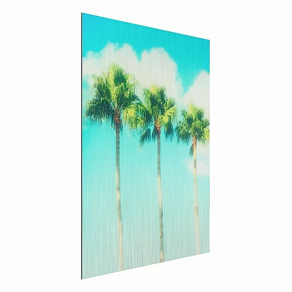 Alu-Dibond Bild Natur & Landschaft - Hochformat 3:4 Palmen vor Himmel Blau günstig online kaufen