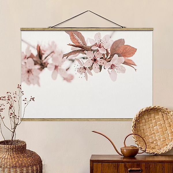 Stoffbild mit Posterleisten Zarte Kirschblüten am Zweig günstig online kaufen