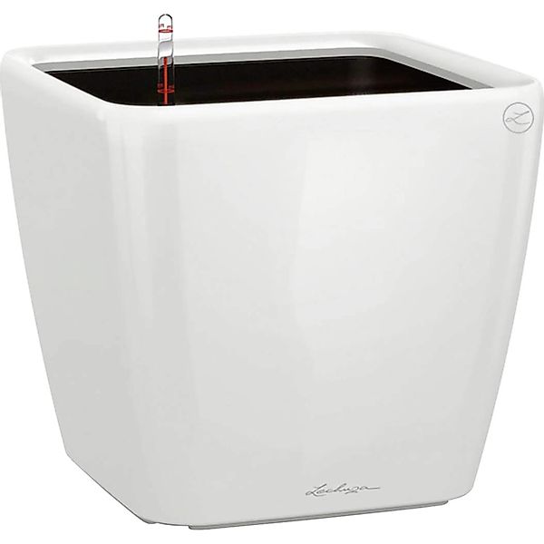 Lechuza® Pflanzkübel Pflanzgefäß Quadro LS 28 günstig online kaufen
