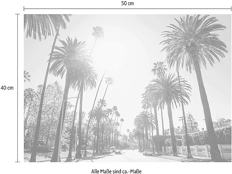 Komar Poster "Palm Alley", Städte, (1 St.) günstig online kaufen
