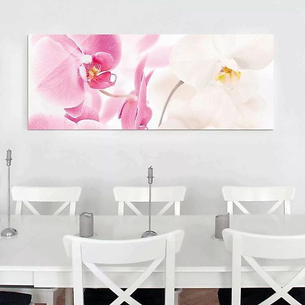 Glasbild Blumen - Panorama Delicate Orchids günstig online kaufen