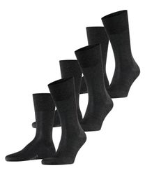 FALKE Socken Tiago 3-Pack (3-Paar) mit günstig online kaufen