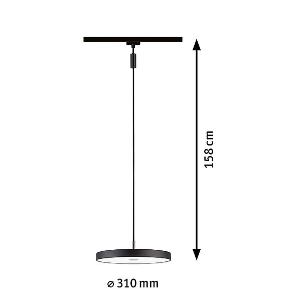 Paulmann Schienensystem-Leuchten »URail Pendel Hildor 850lm 15W 4000K 230V günstig online kaufen