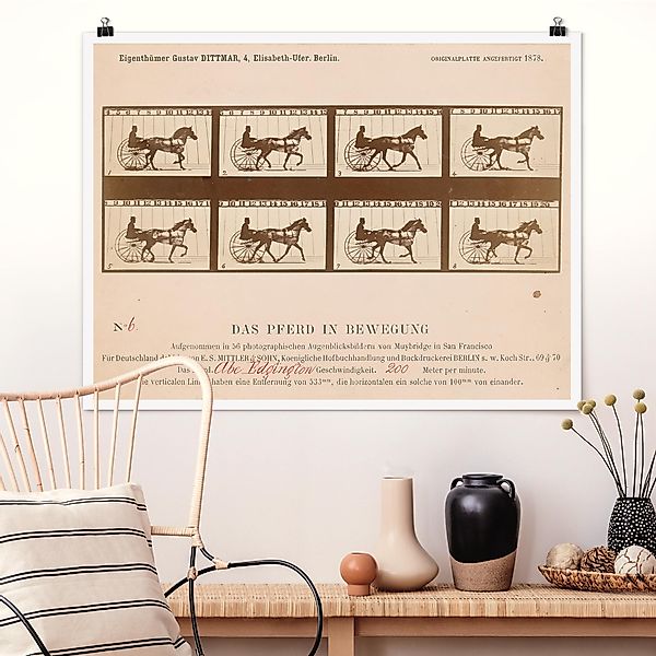 Poster - Querformat Eadweard Muybridge - Das Pferd in Bewegung günstig online kaufen