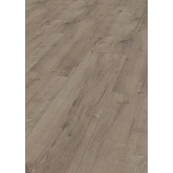 Jangal Laminatboden Oak National Park Line Plus Zion günstig online kaufen