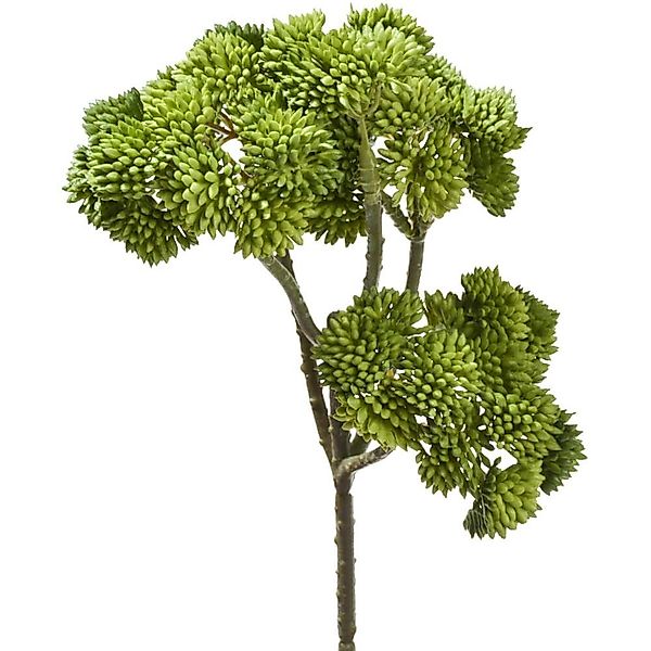 Kunstblume Fetthenne Kunstpflanze Dekopflanze 1 Stk günstig online kaufen
