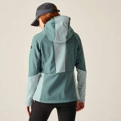 Regatta Softshelljacke Desoto mit Kapuze und günstig online kaufen