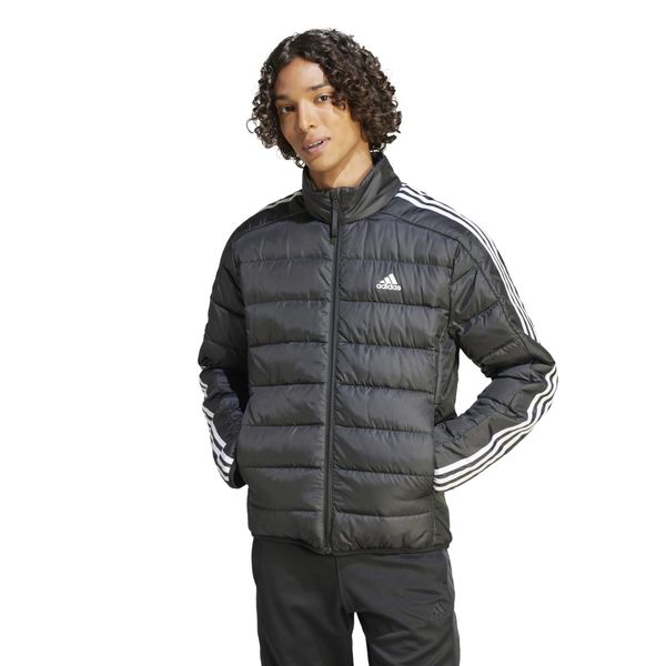adidas Performance Daunenjacke adidas Herren Daunenjacke günstig online kaufen